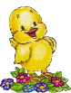 Gif 08
