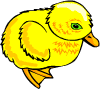 Gif 20