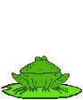 Gif 08