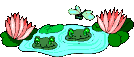Gif 14