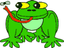 Gif 203