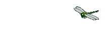 Gif 29