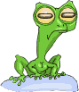 Gif 74