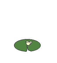 Gif 77