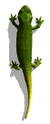 Gif 01