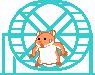 Gif 37