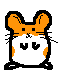 Gif 49