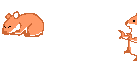 Gif 50