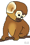 Gif 01
