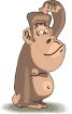 Gif 05