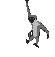 Gif 07