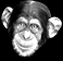 Gif 14