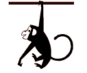 Gif 62