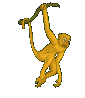 Gif 66