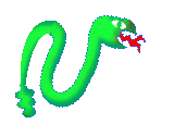 Immagine 13 Serpenti