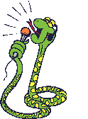 Gif 16