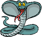 Immagine 18 Serpenti
