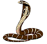 Gif 29