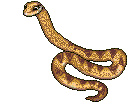 Immagine 42 Serpenti