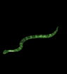 Immagine 54 Serpenti