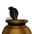 Gif 59