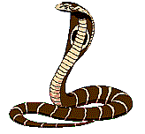 Immagine 69 Serpenti