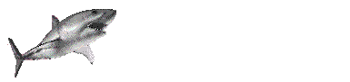 Gif 40