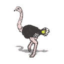 Gif 02