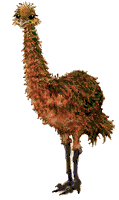 Gif 03