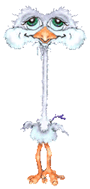 Gif 04