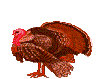 Gif 09