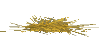 Gif 11