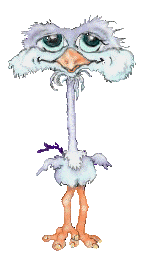 Gif 03
