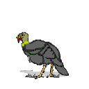 Gif 198
