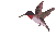Gif 252