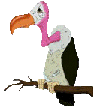 Gif 278