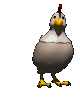 Gif 21