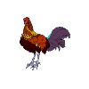 Gif 39