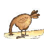 Gif 40