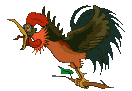 Gif 41