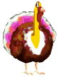 Gif 47
