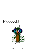 Gif 33