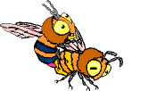 Gif 43