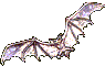 Gif 02