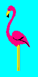 Gif 08