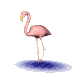 Gif 10