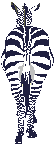 Gif 02
