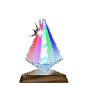 Gif 14