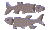 Gif 19