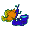 Gif 85